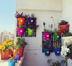 ⁦اصيص منترا بنفسجي 22 سم +طبق⁩ - الصورة ⁦2⁩