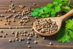 ⁦بذور كزبرة 30 جرام⁩ - الصورة ⁦2⁩